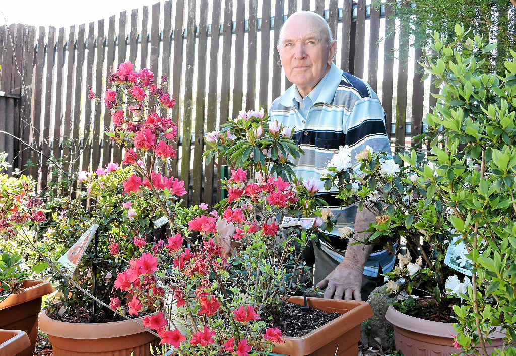 BLOOMING FLOWERS: Graham Gillam prepares for a big month of garden competitions. BLOOMING FLOWERS: Graham Gillam prepares for a big month of garden competitions.